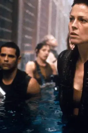 Vợ Cũ Chết Người Vợ Cũ Chết Người