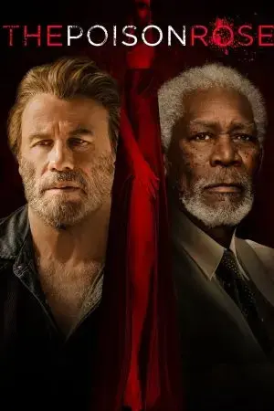 Bông Hồng Chết Người Bông Hồng Chết Người