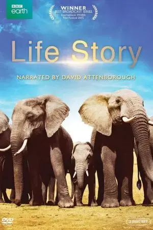 Câu Chuyện Cuộc Sống Câu Chuyện Cuộc Sống