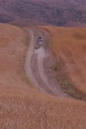 Nhật Ký Hải Trình One Piece: Truyền Kỳ Đảo Người Cá (Tập Đặc Biệt) Nhật Ký Hải Trình One Piece: Truyền Kỳ Đảo Người Cá (Tập Đặc Biệt)