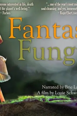 Câu Chuyện Anh Hùng